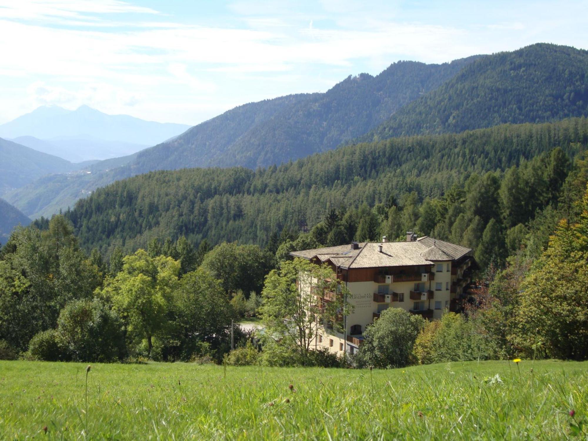Naturhotel Waldheim Anterivo Esterno foto